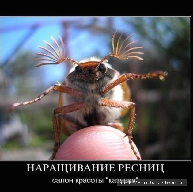 "Поделись улыбкою своей" часть 2