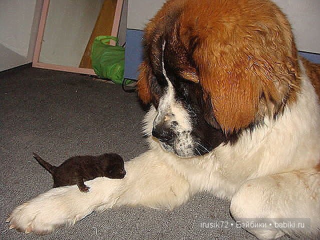 "Поделись улыбкою своей" часть 2
