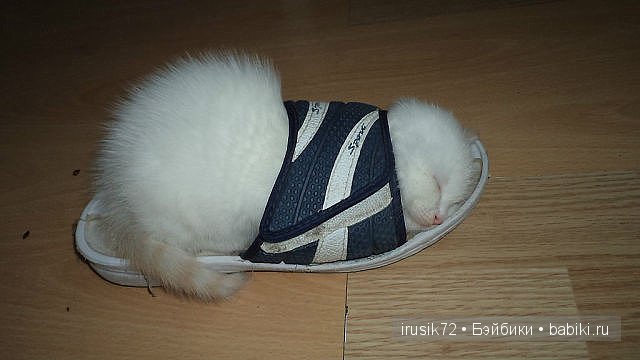 "Поделись улыбкою своей" часть 2