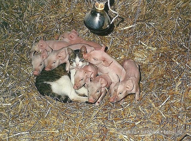 "Поделись улыбкою своей" часть 2