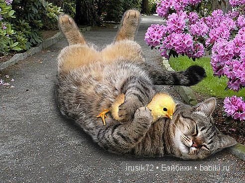 "Поделись улыбкою своей" часть 2