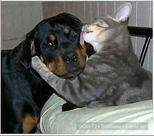 "Поделись улыбкою своей" часть 2