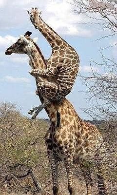 "Поделись улыбкою своей" часть 2