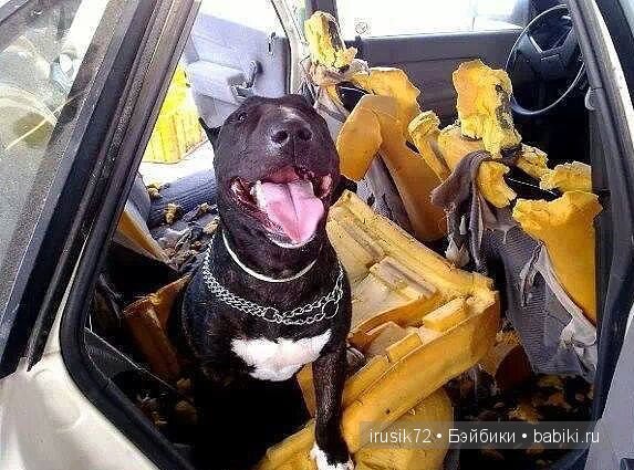 "Поделись улыбкою своей" часть 2 (фото 8)