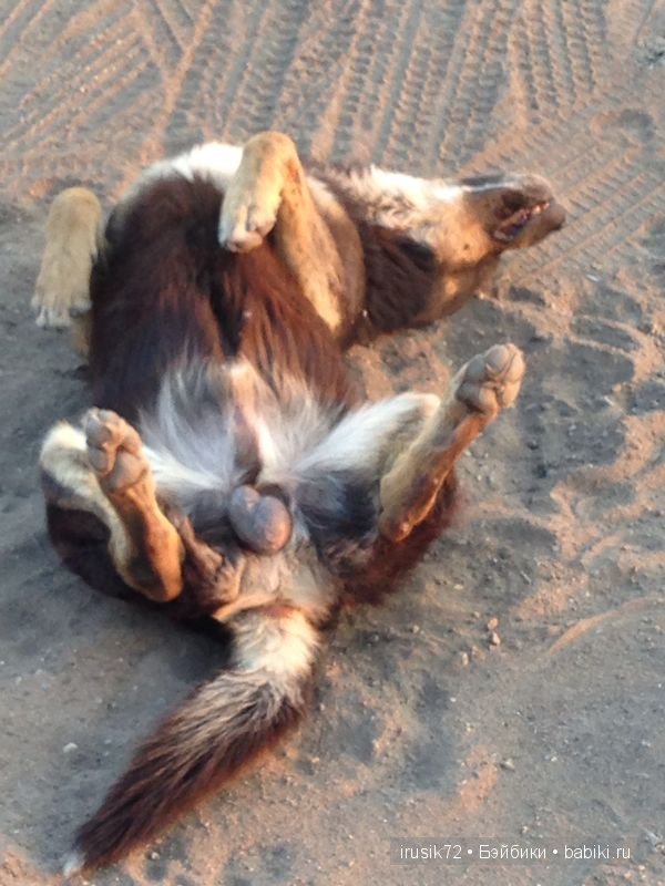 "Поделись улыбкою своей" часть 2