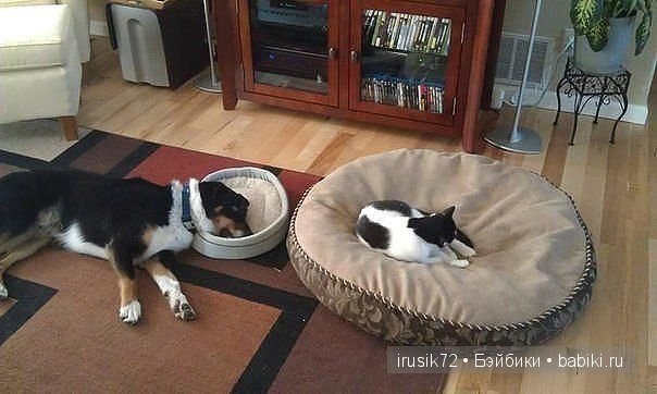 "Поделись улыбкою своей" часть 2 (фото 7)