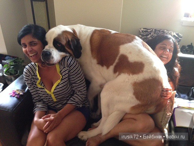 "Поделись улыбкою своей" часть 2