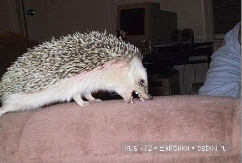 "Поделись улыбкою своей" часть 2 (фото 6)