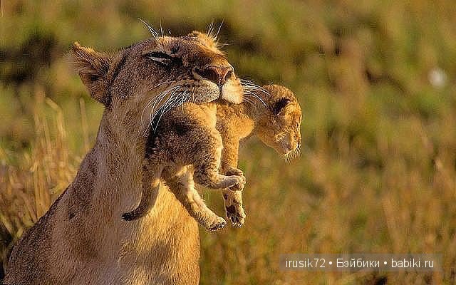 "Поделись улыбкою своей" часть 2