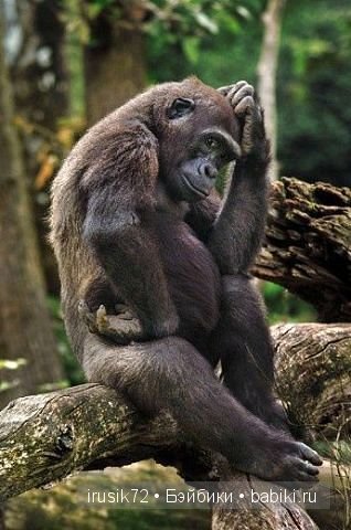 "Поделись улыбкою своей" часть 2