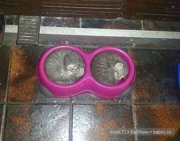 "Поделись улыбкою своей" часть 2 (фото 4)