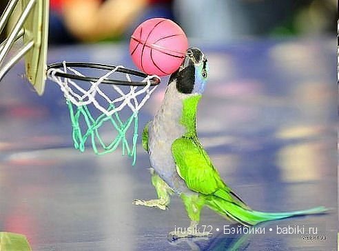 "Поделись улыбкою своей" часть 2