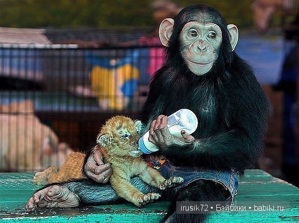 "Поделись улыбкою своей" часть 2