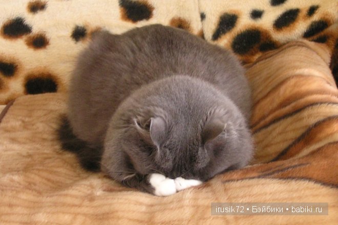 Поделись улыбкою своей....часть 4 (фото 7)