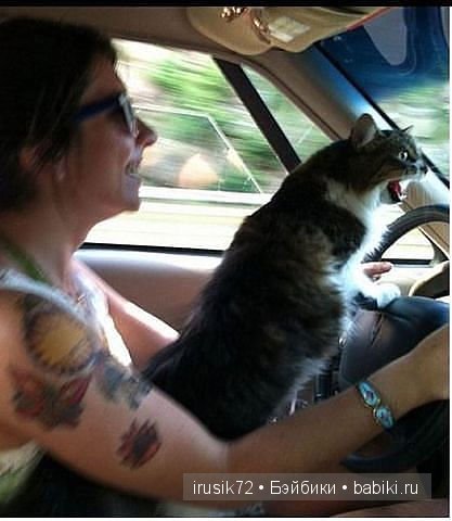 Поделись улыбкою своей....часть 4 (фото 8)