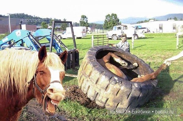 Поделись улыбкою своей....часть 4