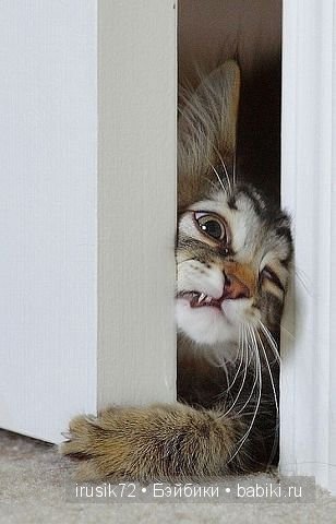 Поделись улыбкою своей....часть 4