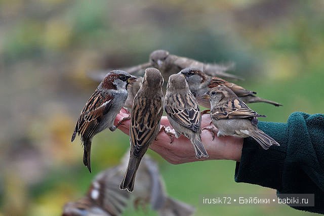 Поделись улыбкою своей....часть 4