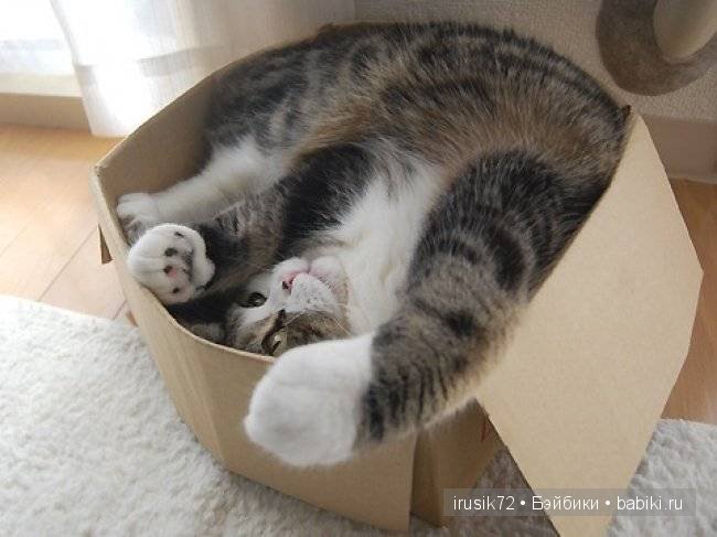 Поделись улыбкою своей....часть 4 (фото 10)