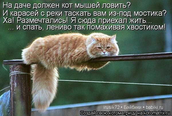 Поделись улыбкою своей....часть 4