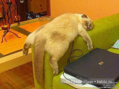 Поделись улыбкою своей....часть 4