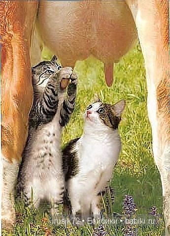 Поделись улыбкою своей....часть 4