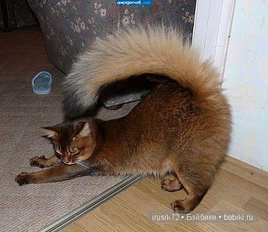 Поделись улыбкою своей....часть 4