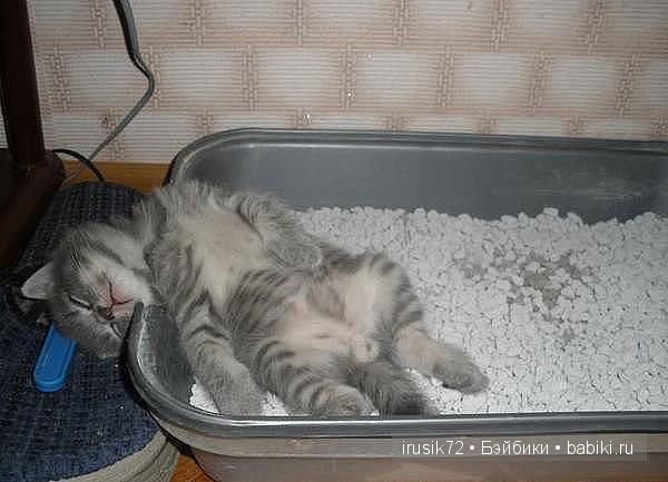 Поделись улыбкою своей....часть 4