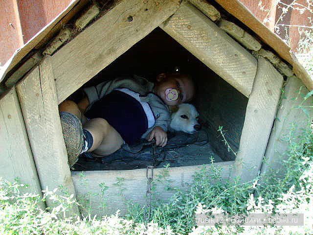 Поделись улыбкою своей....часть 4