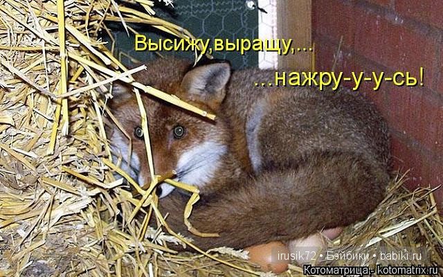 Поделись улыбкою своей....часть 4