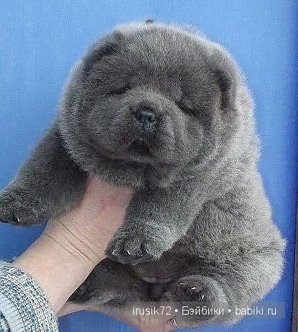 Поделись улыбкою своей....часть 4