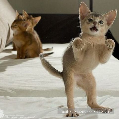 Поделись улыбкою своей....часть 4