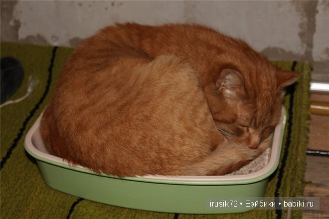 Поделись улыбкою своей....часть 4 (фото 5)