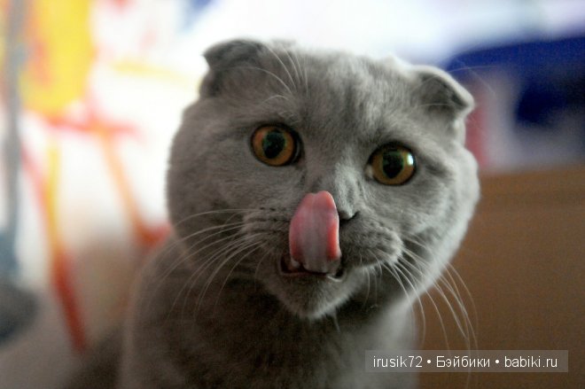 Поделись улыбкою своей....часть 4