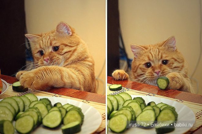 Поделись улыбкою своей....часть 4