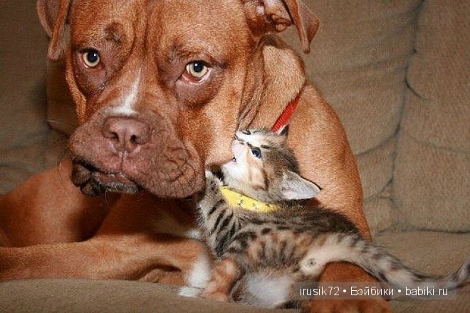 Поделись улыбкою своей....часть 4