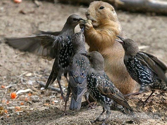 Поделись улыбкою своей....часть 4