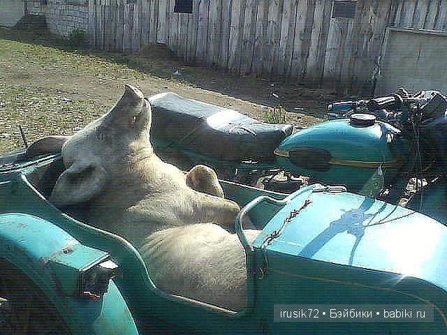 Поделись улыбкою своей....часть 4