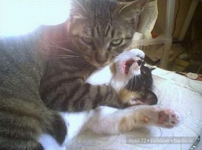 Поделись улыбкою своей....часть 4 (фото 9)