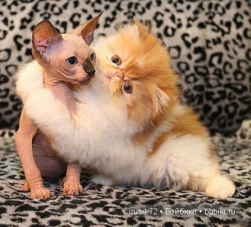 "Поделись улыбкою своей" часть 5