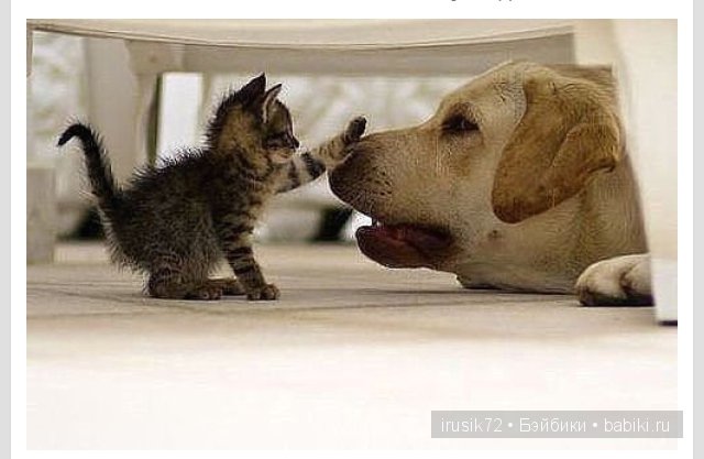 "Поделись улыбкою своей" часть 5