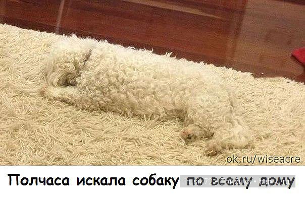 "Поделись улыбкою своей" часть 5