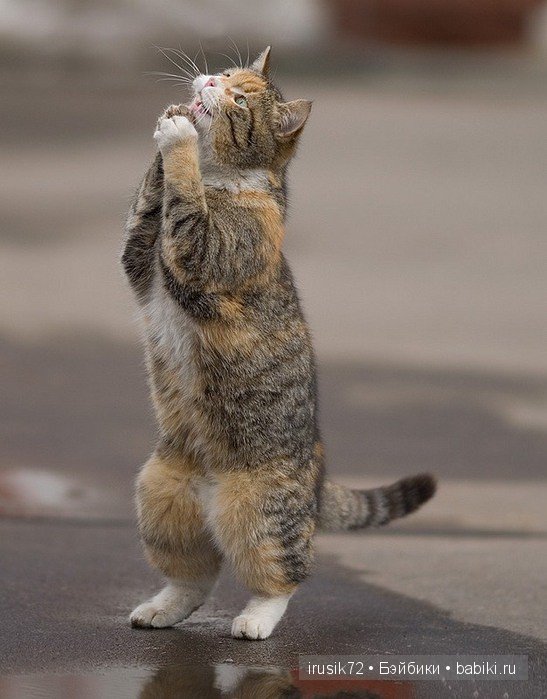 "Поделись улыбкою своей" часть 5