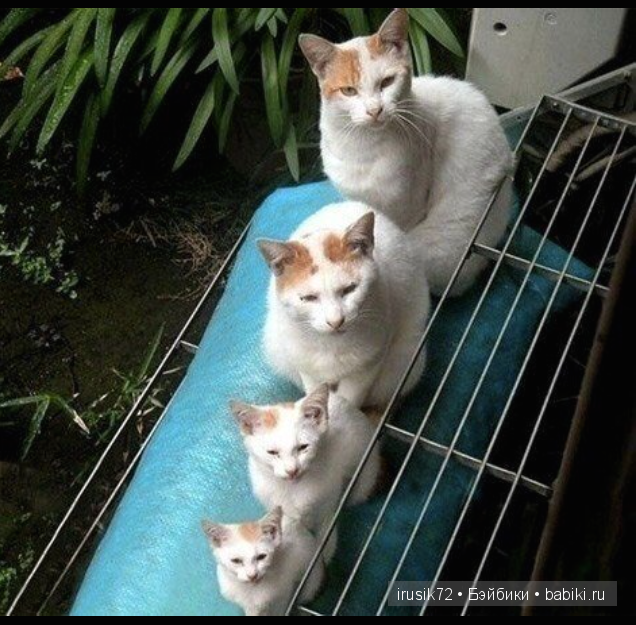 "Поделись улыбкою своей" часть 5