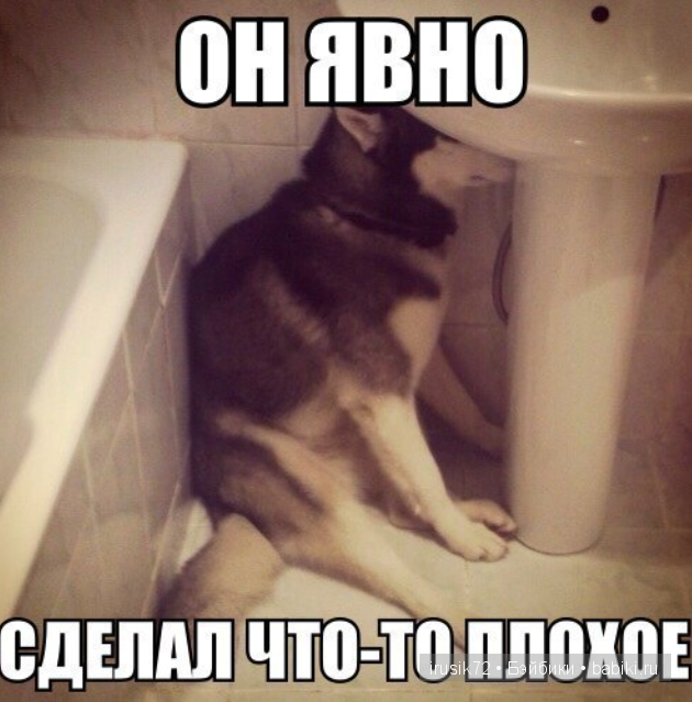 "Поделись улыбкою своей" часть 5