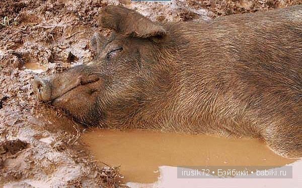 "Поделись улыбкою своей" часть 5 (фото 2)