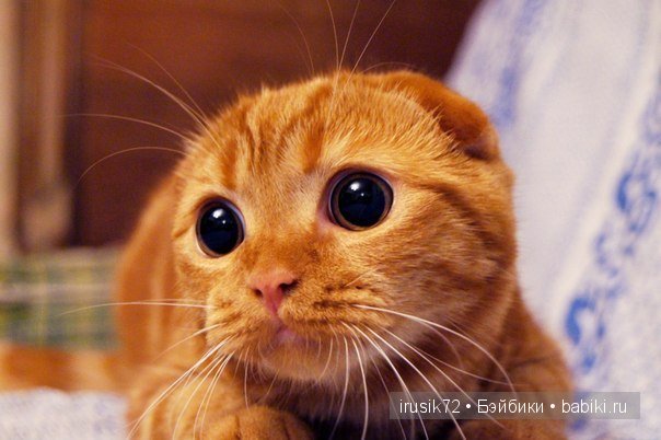 "Поделись улыбкою своей" часть 5