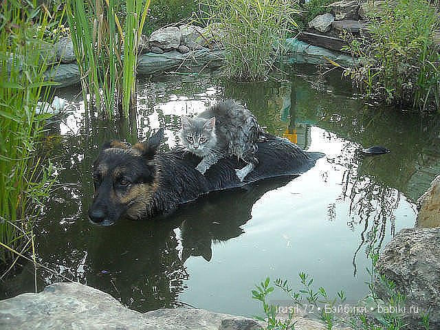 "Поделись улыбкою своей" часть 5 (фото 3)