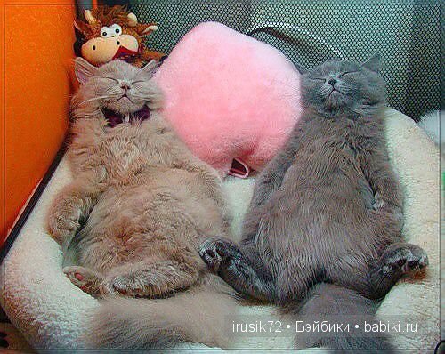 "Поделись улыбкою своей" часть 5