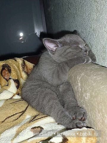 "Поделись улыбкою своей" часть 5